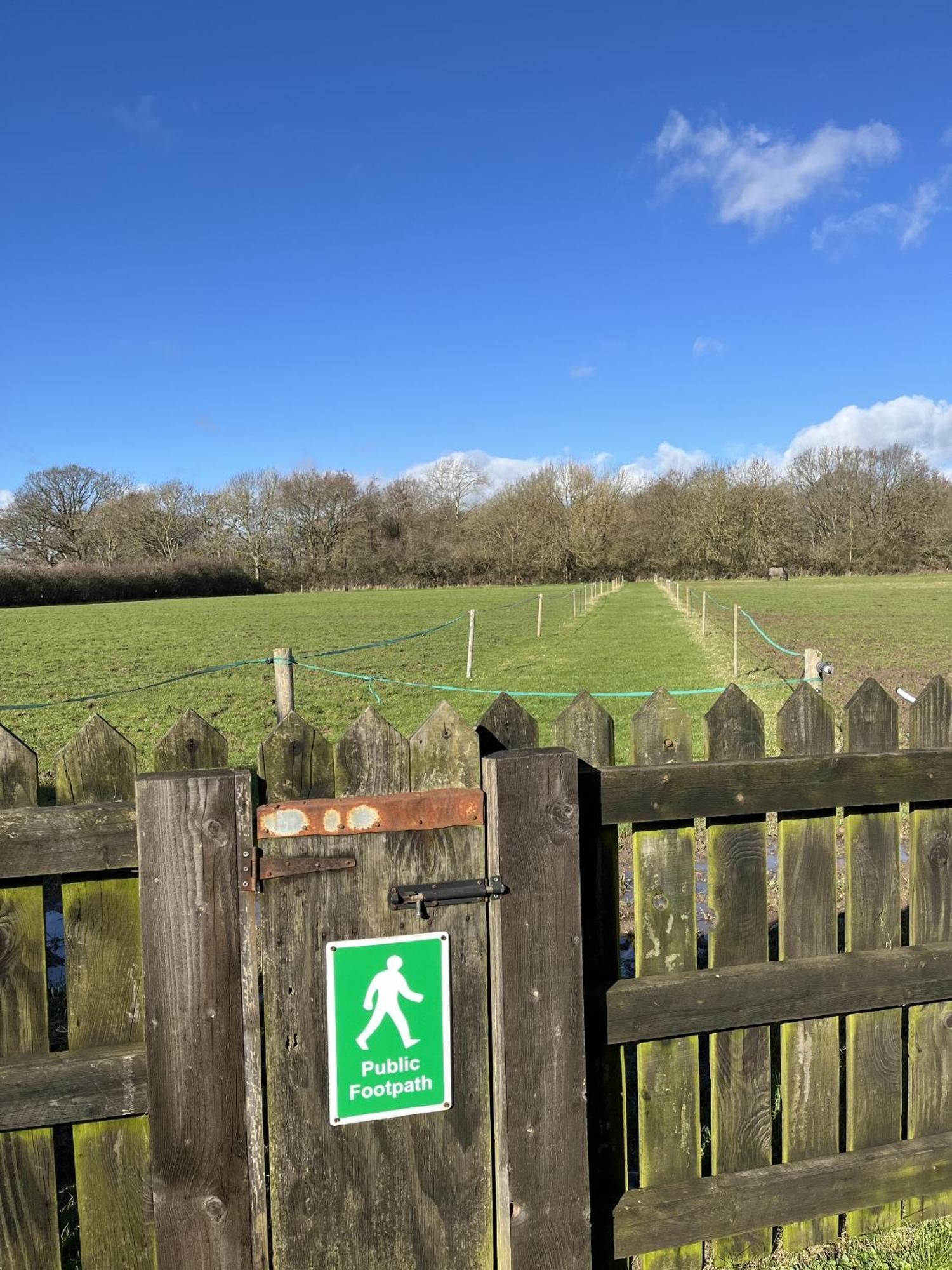 Priors Oak - A Cosy Studio With Countryside Views In Dorset Stalbridge Luaran gambar