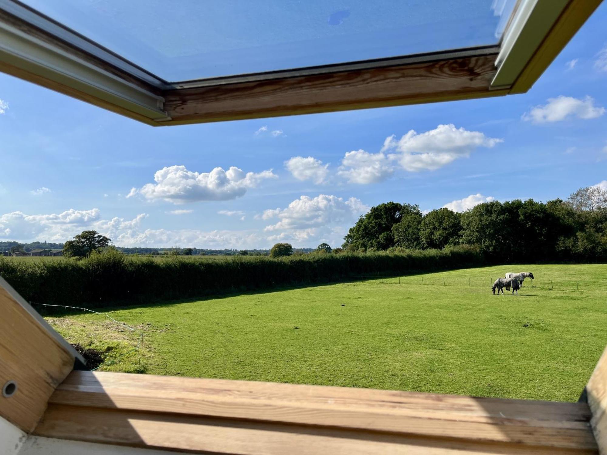 Priors Oak - A Cosy Studio With Countryside Views In Dorset Stalbridge Luaran gambar